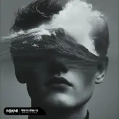 Akmalov, Lynoria — Gravity Hearts