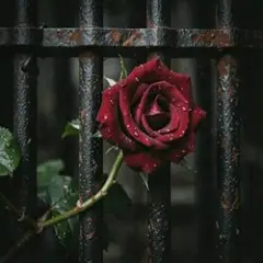 Prison of Love