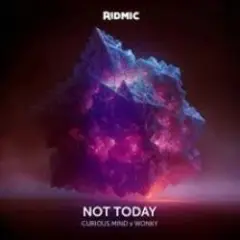 curious mind, Wonky & Arcade — Not Today
