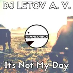 It's Not My Day (Original Mix)