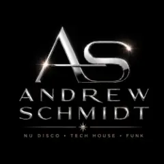 Andrew Schmidt feat. Andra Vox — The Summer's Gone (Radio Edit)