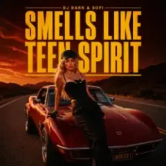 DJ Dark & Sofi — Smells Like Teen Spirit