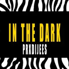 IN THE DARK