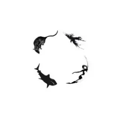 CALLBASS, MOON DIVIA — Иерархия дна