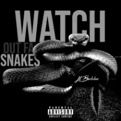 Watch Out For Snakes — Reset