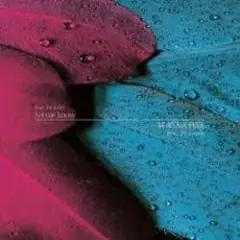 DJ Swip — Feel