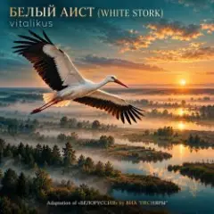 БЕЛЫЙ АИСТ (WHITE STORK)