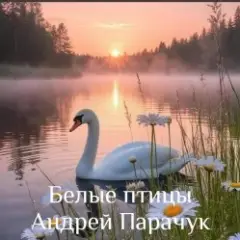 Белые птицы