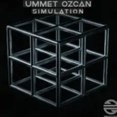 Ummet Ozcan — Simulation (Visualizer)