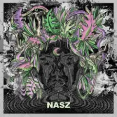 Nasz — Believe