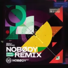 BSN Posse, Ginko — Nobody (Pablo Dread Remix)