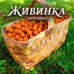 Живинка — Морошка