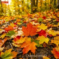 Осень(vocal version)
