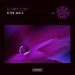 Michael Kruzh — House Attack