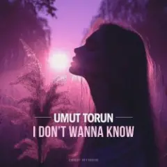 I Don't Wanna Know (Official Mix)