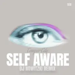 Self Aware (DJ Nowitzki Remix)