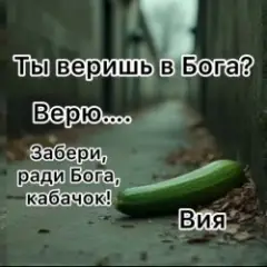 Кабачок