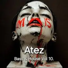 Bass & House Vol 10.