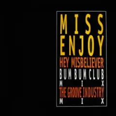 Hey Misbeliever (The Groove Industry Vocal Mix)