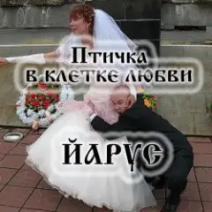 ЙАРУС — Птичка в клетке любви